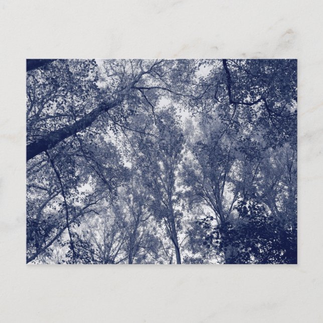 Blauer Herbst Postkarte (Vorderseite)