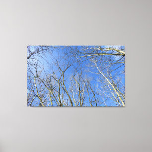 Blauer Himmel, Bäume im Winter Leinwanddruck