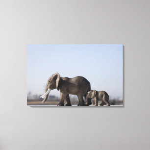 Blauer Himmel der Elefant-Herkunft Leinwanddruck