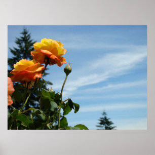 Blauer Himmel-feine Kunst druckt orange Poster