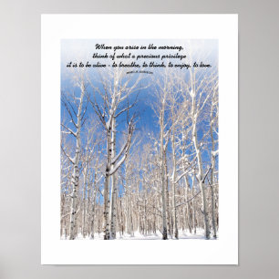 Blauer Himmel im Schnee im Foto Poster