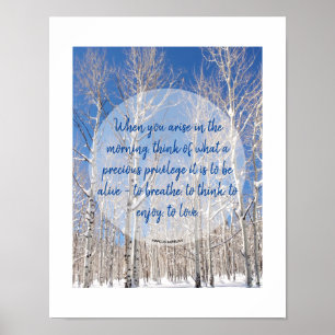 Blauer Himmel im Schnee im Foto Poster