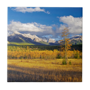 Blauer Himmel und Wolken über einer Wiese Fliese