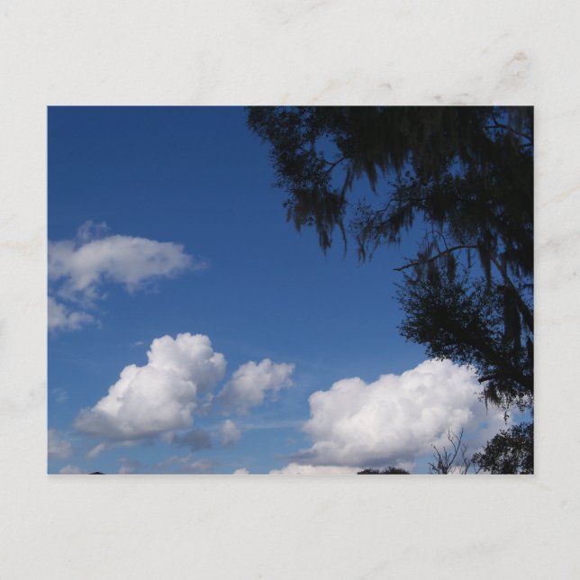 Blauer Himmel, weiße Wolken und Baum auf einer Pos Postkarte (Vorderseite)