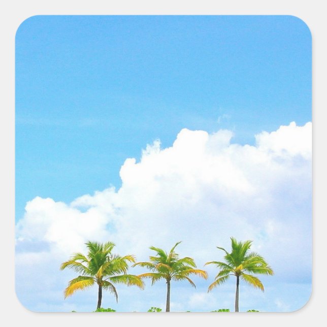 Blauer Himmel Wolken und Blank Palms Template Quadratischer Aufkleber (Vorderseite)