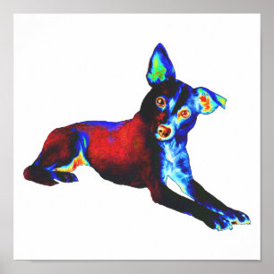 Blauer Hund Poster