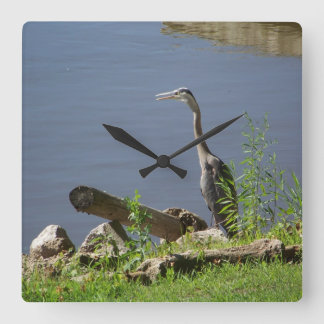 Blauer Hurone auf Ufer Quadratische Wanduhr
