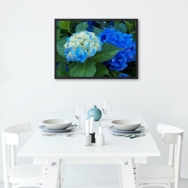 Blauer Hydrangea Blütenglanz Poster (In Situ)