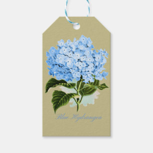 Blauer Hydrangea Geschenkanhänger
