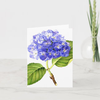Blauer Hydrangea Karte