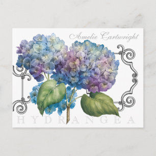 Blauer Hydrangea Mit Monogramm Name Postkarte