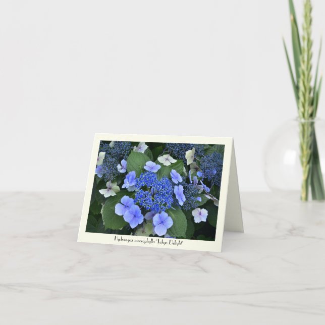 Blauer Hydrangea-sammelbare Gruß-Karten Karte (Vorderseite)