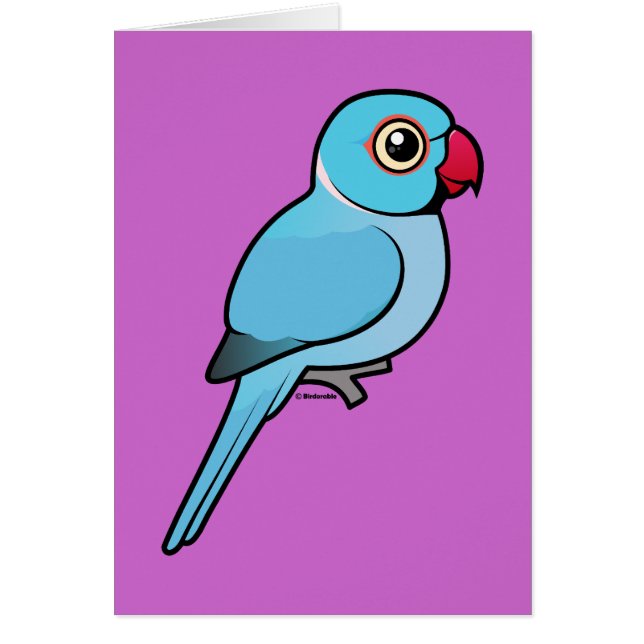 Blauer Inder Ringneck (Vorne)