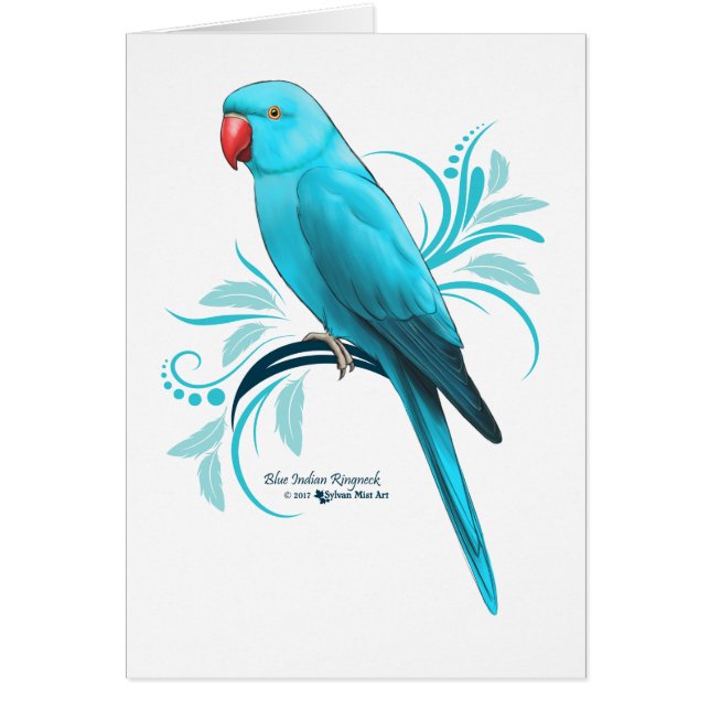 Blauer Inder Ringneck Papagei (Vorne)