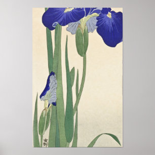 Blauer Ire (1900 - 1930) von Ohara Koson Poster