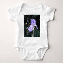 Blauer Iris