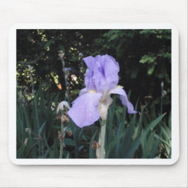 Blauer Iris Mousepad