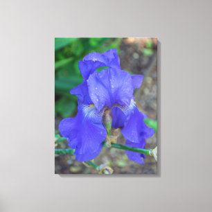 Blauer Irisdruck Blume Leinwanddruck
