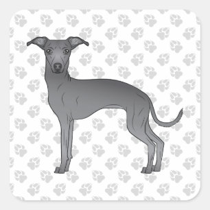 Blauer Italienischer Windhund Süßer Cartoon-Hund M Quadratischer Aufkleber