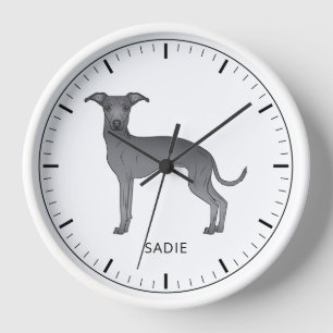 Blauer Italienischer Windhund Süßer Hund Mit Benut Uhr