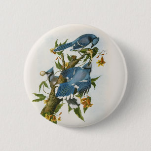 Blauer Jay Button