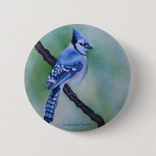 Blauer Jay-Knopf Button