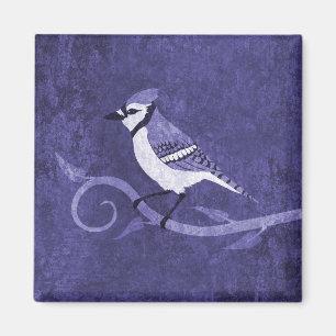 Blauer Jay-Magnet Magnet
