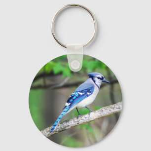 Blauer Jay-Schlüsselanhänger Schlüsselanhänger