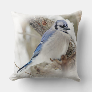 Blauer Jay-Singvogel im Schnee Kissen