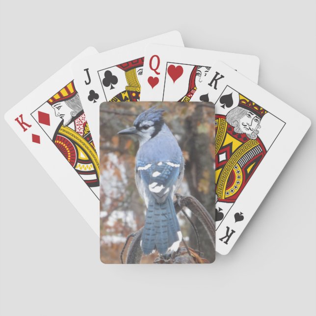 Blauer Jay Spielkarten (Rückseite)