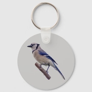 Blauer Jay-Vogel Schlüsselanhänger
