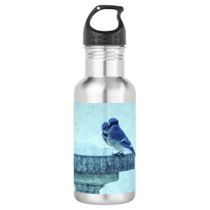 Blauer Jay Winter Füttre rostfreier Edelstahl Edelstahlflasche