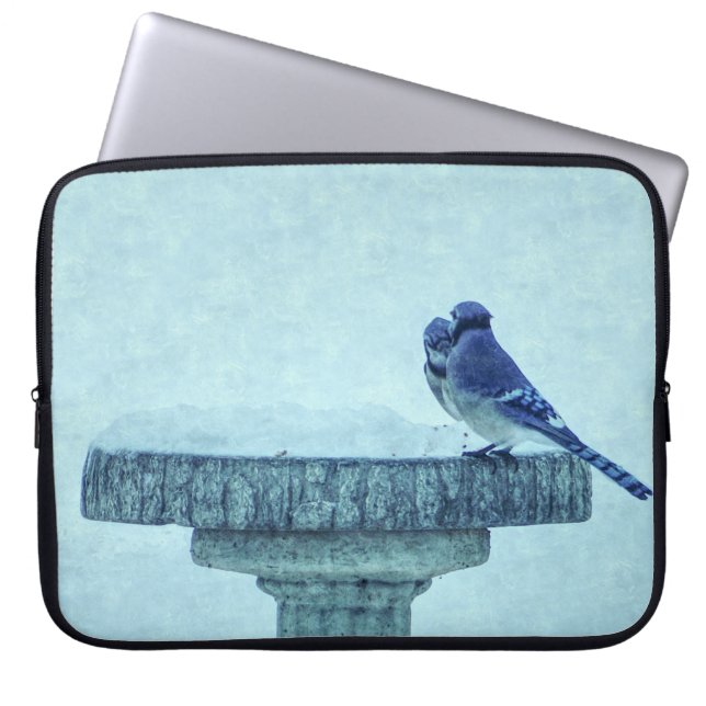 Blauer Jay Winter Füttre schmerzhaft Laptopschutzhülle (Vorderseite)