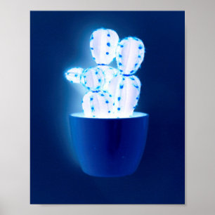 Blauer Kakteen Poster