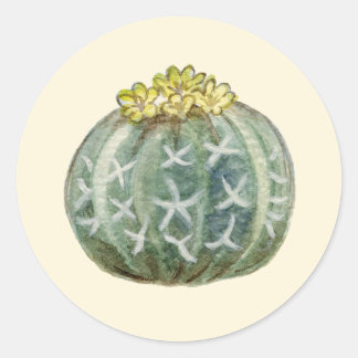 Blauer Kakteen Runder Aufkleber