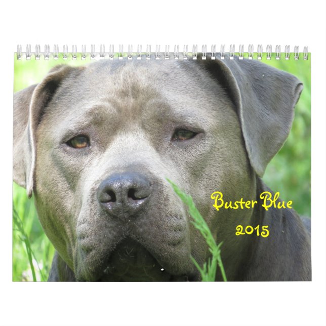 Blauer Kalender (Titelbild)