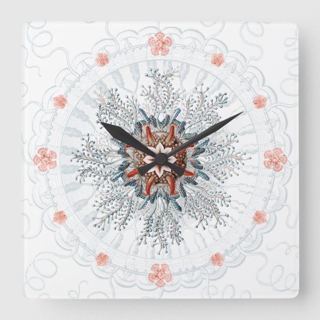 Blauer Knopf Qualle und Seestern Wall Clock Quadratische Wanduhr (Vorderseite)