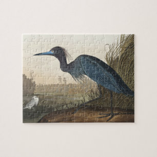 Blauer Kranich oder Heron von Vögeln Amerikas Puzzle