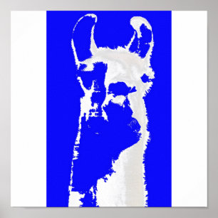Blauer Lama Poster
