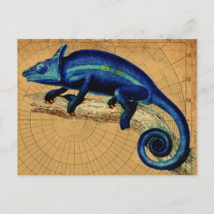 Blauer Leguan Postkarte