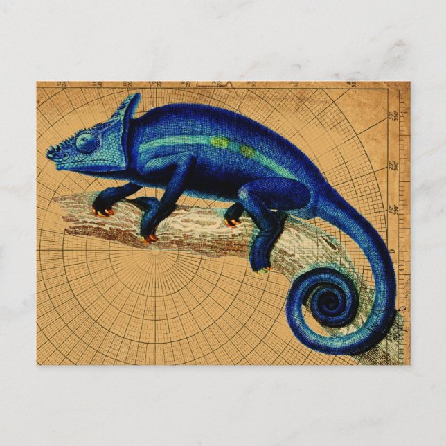 Blauer Leguan Postkarte (Vorderseite)