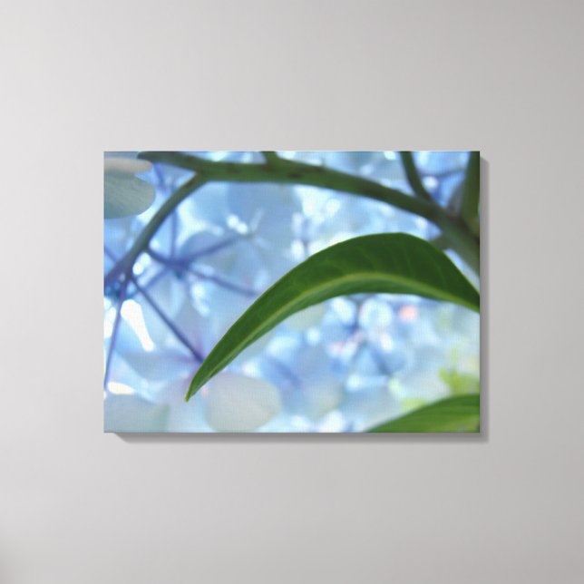 Blauer Leinwand Drucke Hydrangea Blumengarten (Vorderseite)