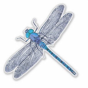 Blauer Libelle Aufkleber