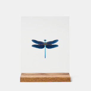 Blauer Libelle - Insekt Wildtier Tierliebhaber Ent Acrylschild