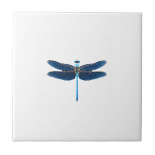 Blauer Libelle - Insekten-Wildlife-Tierliebhaber E Fliese