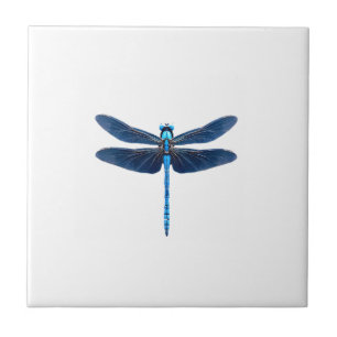 Blauer Libellen - Insekten-Wildlife-Tierliebhaber Fliese