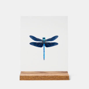 Blauer Libellen - Insekten-Wildtier-Tierliebhaber Acrylschild