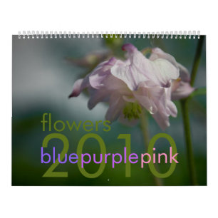 Blauer lila rosa Kalender der Blumen-2010