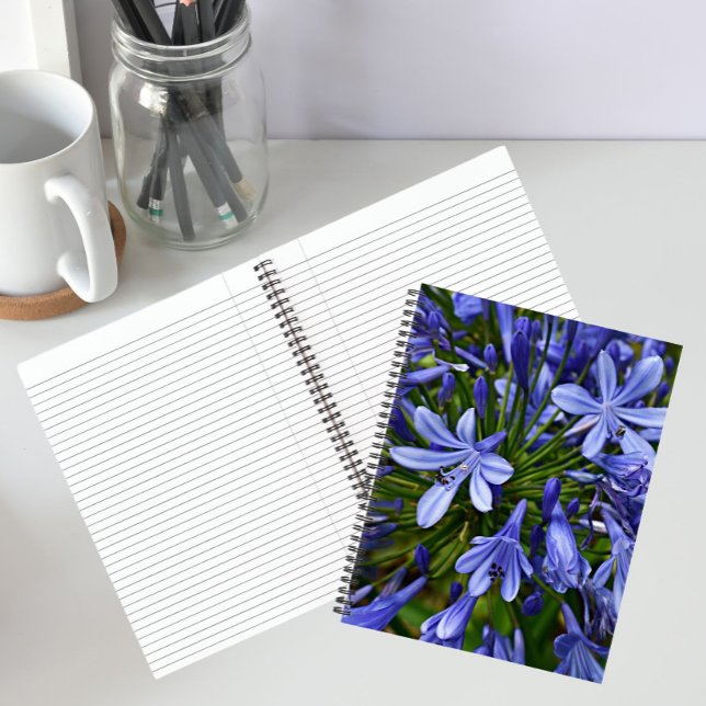 Blauer Lilie des Nils Agapanthus Notizbuch (In Situ)