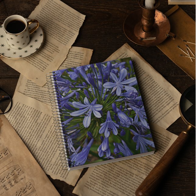 Blauer Lilie des Nils Agapanthus Notizbuch (In Situ)